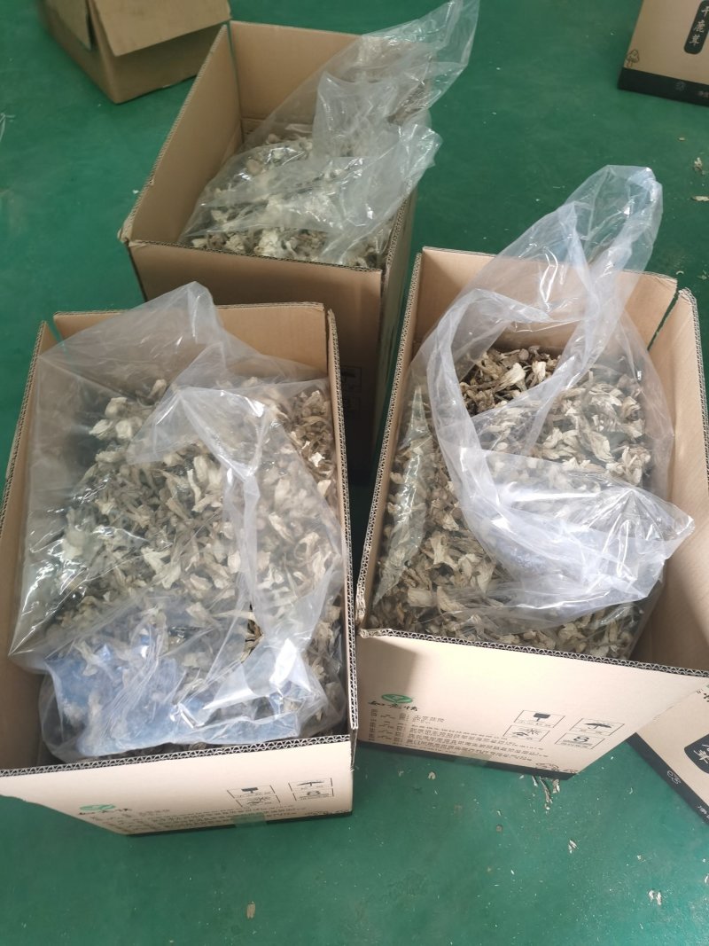 鹿茸菇（干品）