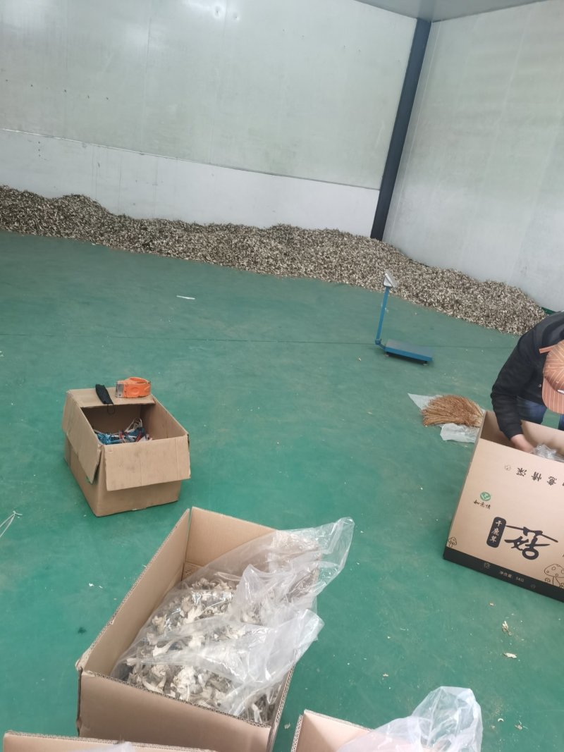 鹿茸菇（干品）