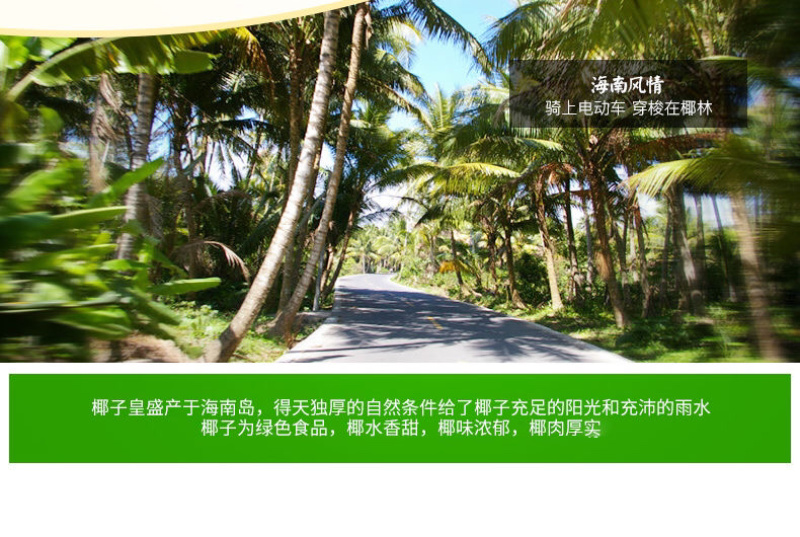 新鲜椰子肉200g炖汤椰子鸡海南金椰果肉即食榨椰子汁批发