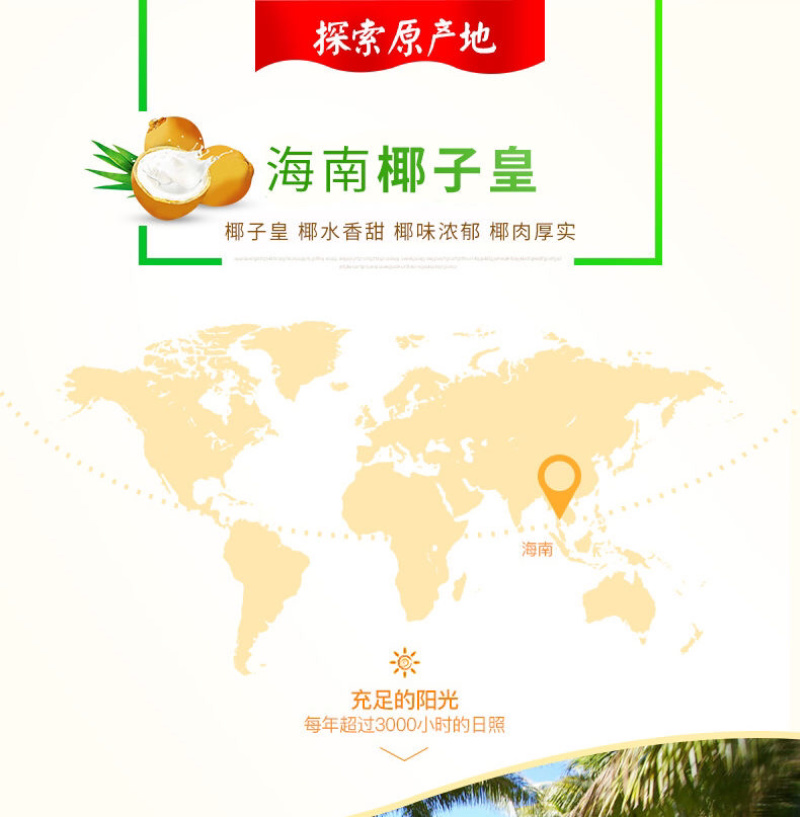新鲜椰子肉200g炖汤椰子鸡海南金椰果肉即食榨椰子汁批发
