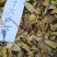 十大功劳木刺黄莲味苦，大量批发一手货源，切片约0.2cm