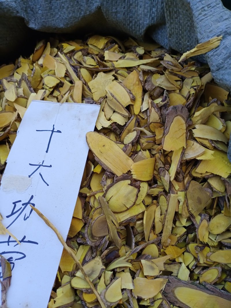 十大功劳木刺黄莲味苦，大量批发一手货源，切片约0.2cm