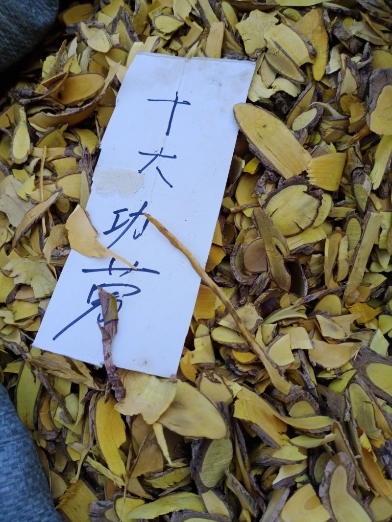 十大功劳木刺黄莲味苦，大量批发一手货源，切片约0.2cm