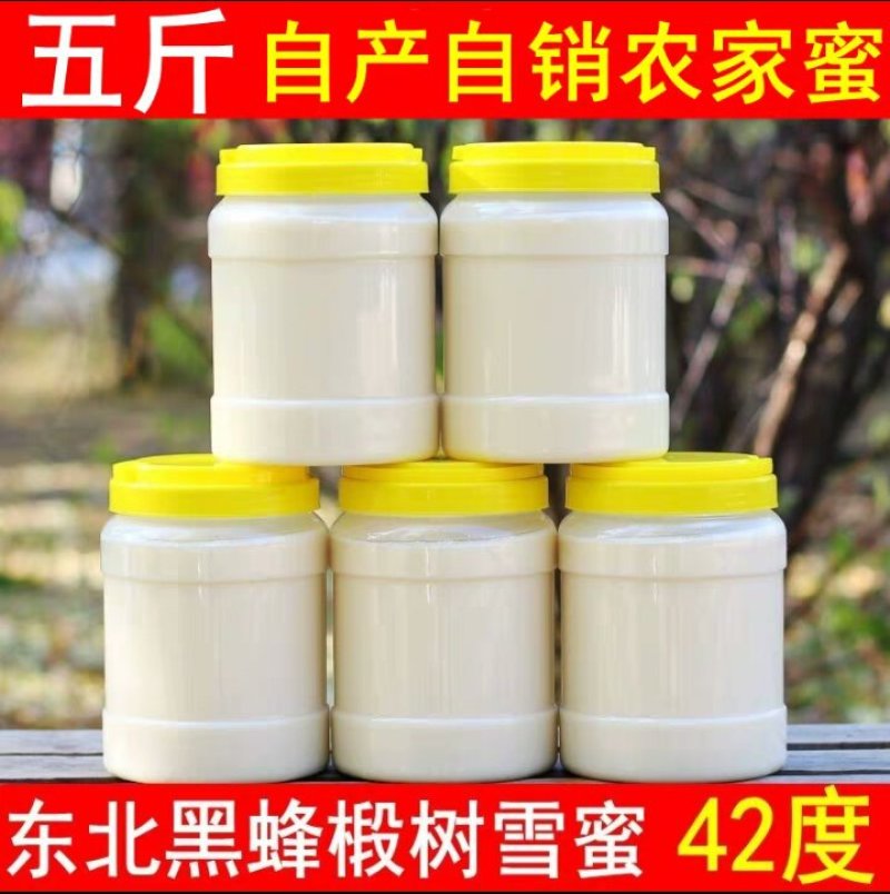 东北纯正黑蜂椴树蜜天然结晶蜜