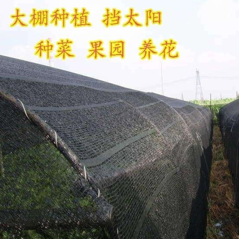 农用大棚遮阳网食用菌专用遮阳网香菇遮阳网羊肚菌防晒网