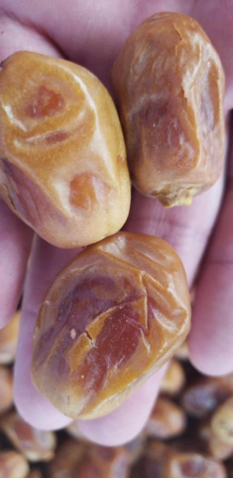 伊拉克椰枣电商平台对接供应链黄金椰枣一站式服务