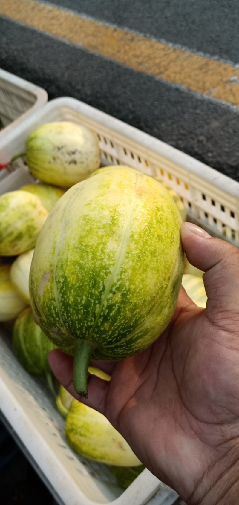 金妃香瓜