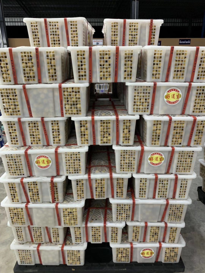 龙眼