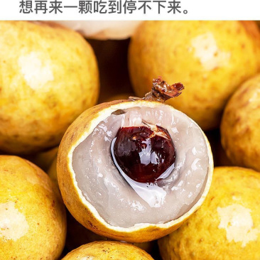 龙眼