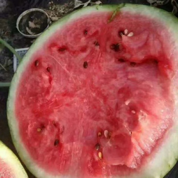 西瓜