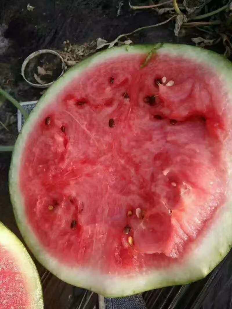 西瓜