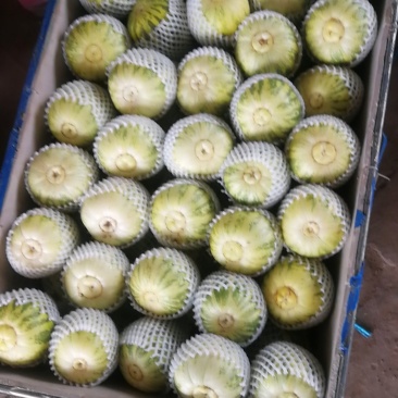 代收瓜果