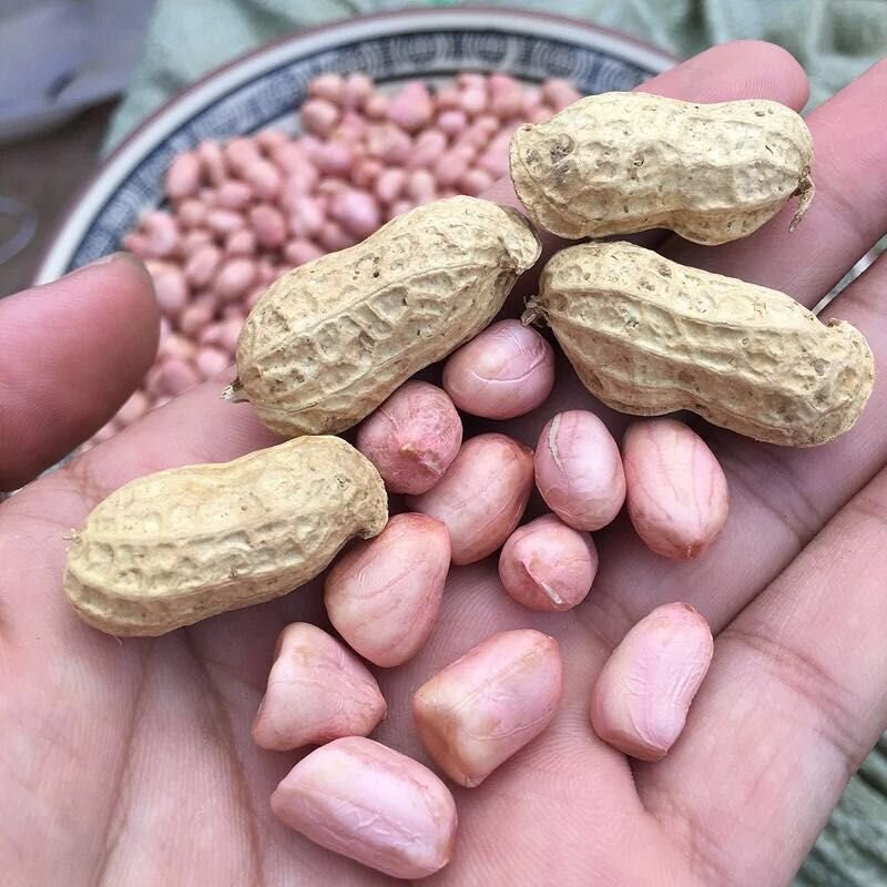 鲁花，大白沙，量大从优，需要的老板联系我