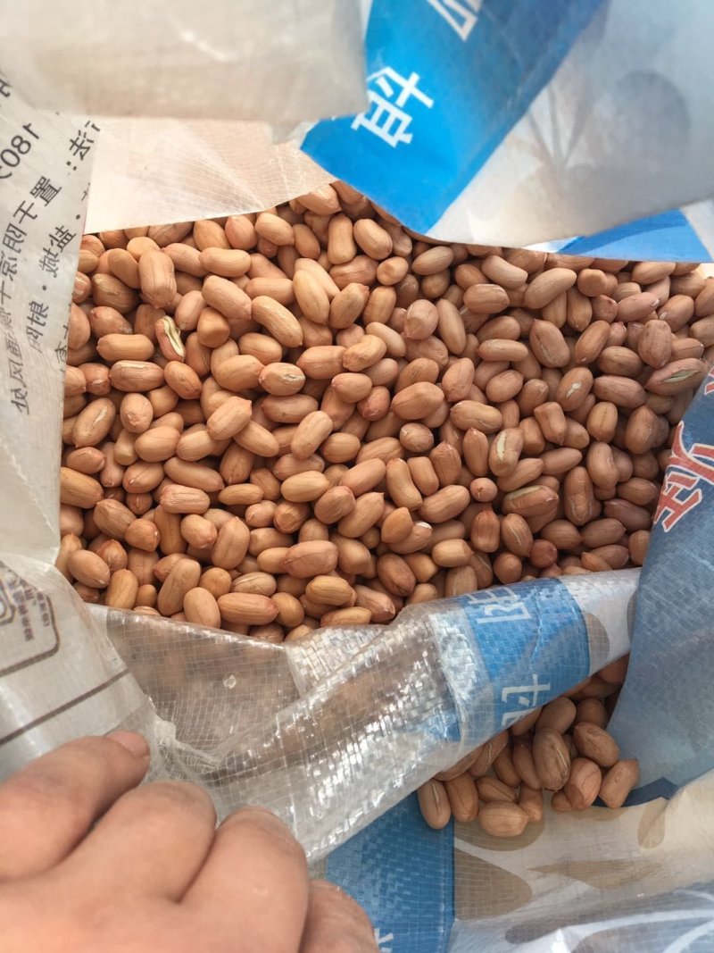 鲁花，大白沙，量大从优，需要的老板联系我