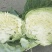扁包菜