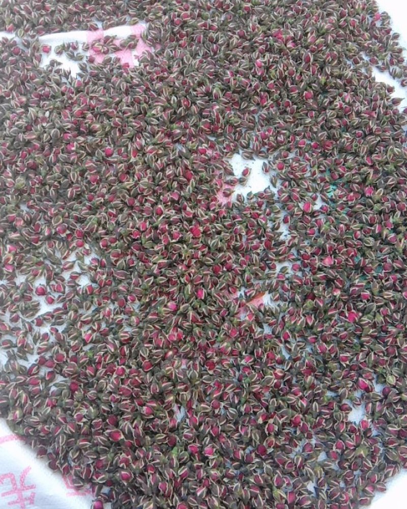 金边玫瑰花干花