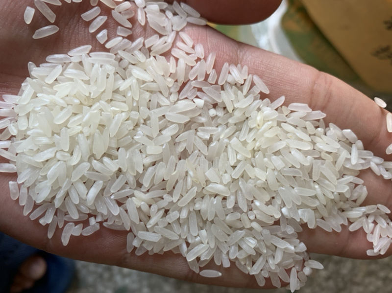 大米陈大米大量出售碎米黄米酒迷都有货！！