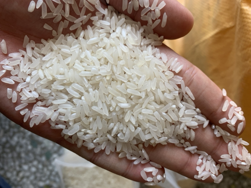 大米陈大米大量出售碎米黄米酒迷都有货！！