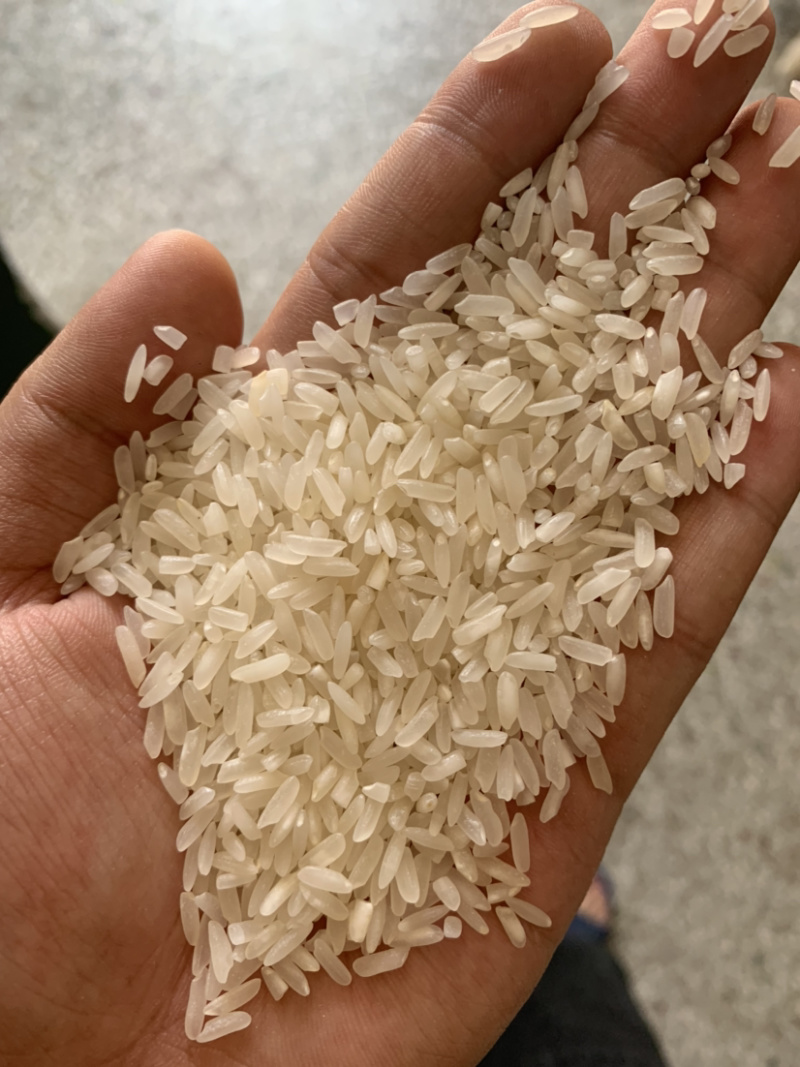 大米陈大米大量出售碎米黄米酒迷都有货！！