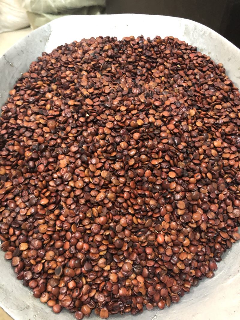 昌玉药材炒枣仁产地直销薄利多销