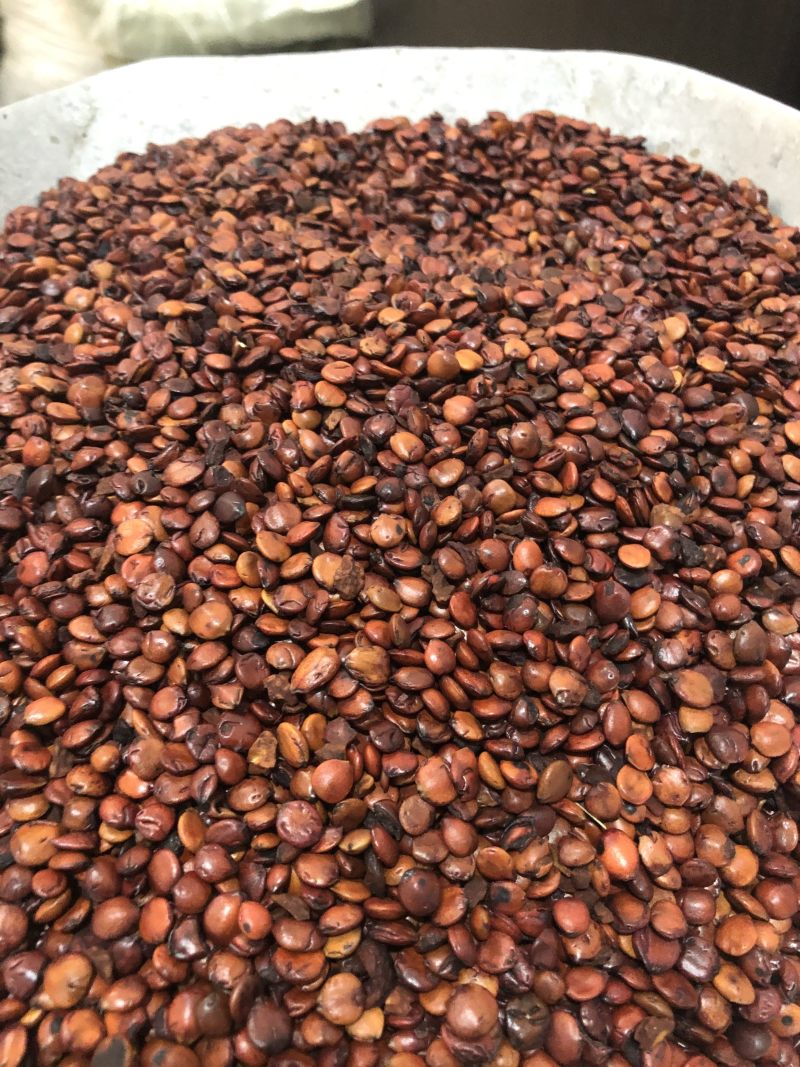 昌玉药材炒枣仁产地直销薄利多销