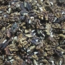 黑黄核桃仁榨油原料