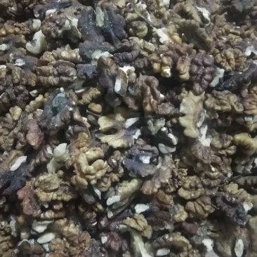 黑黄核桃仁榨油原料