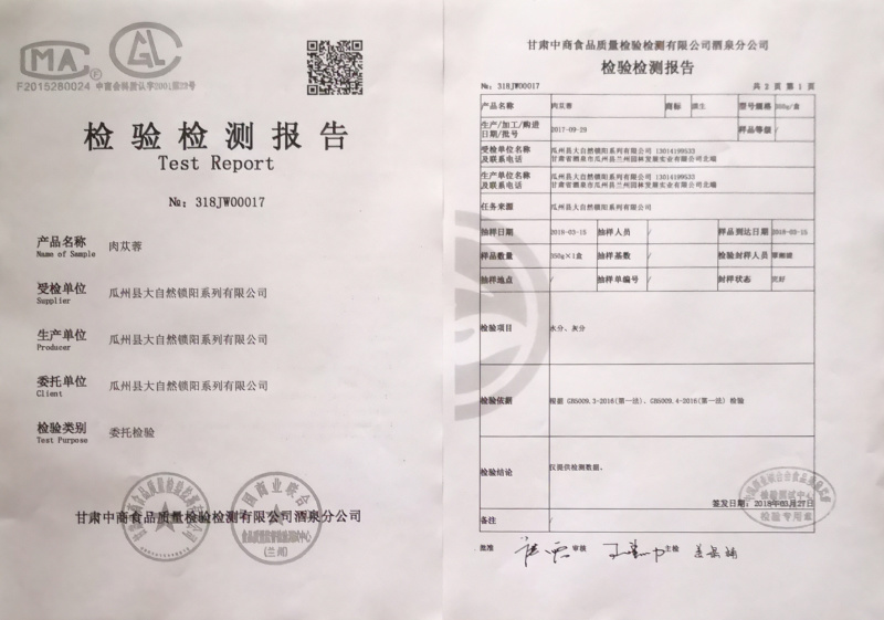 内蒙古野生大模双雄长条沙漠人参漠生牌厂家直销