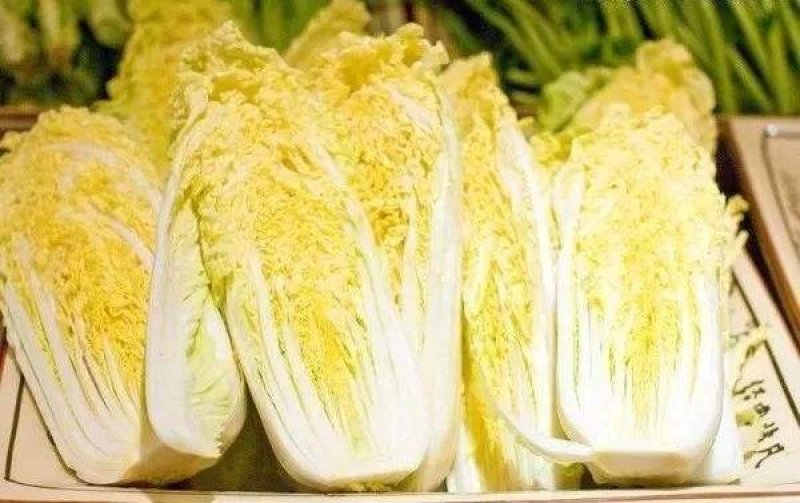 大颗娃娃菜