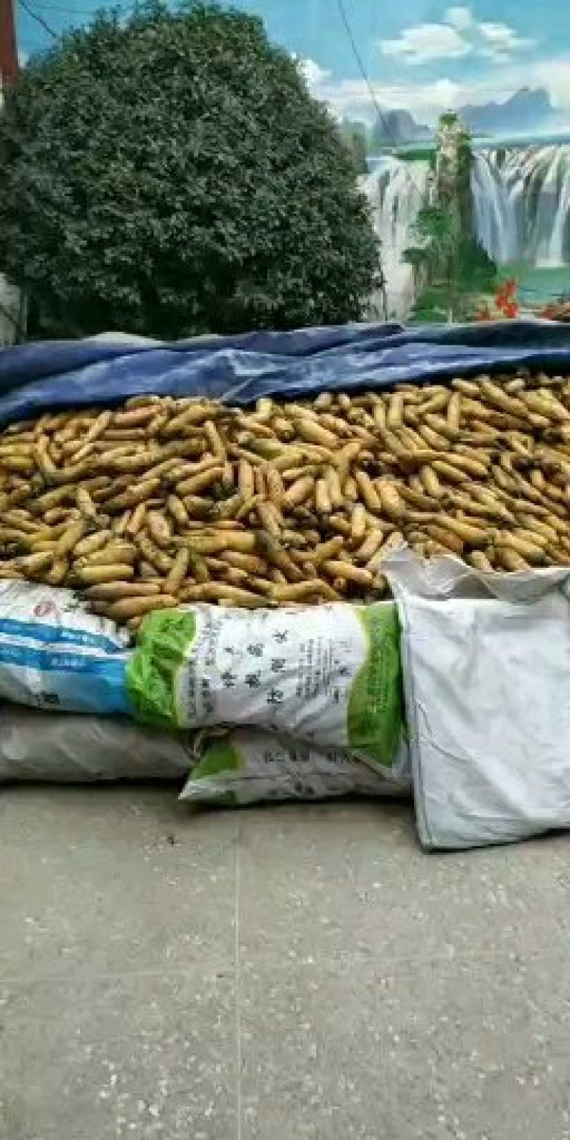 夏县特产