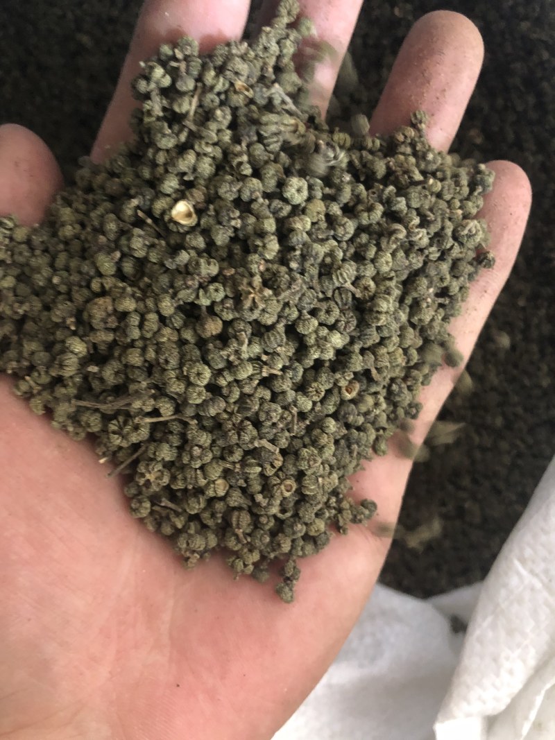 昌玉药材吴茱萸中小花产地直销薄利多销