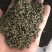 昌玉药材吴茱萸中小花产地直销薄利多销