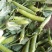 豌豆荚精品货大量供应中