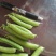 豌豆荚精品货大量供应中