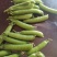 豌豆荚精品货大量供应中