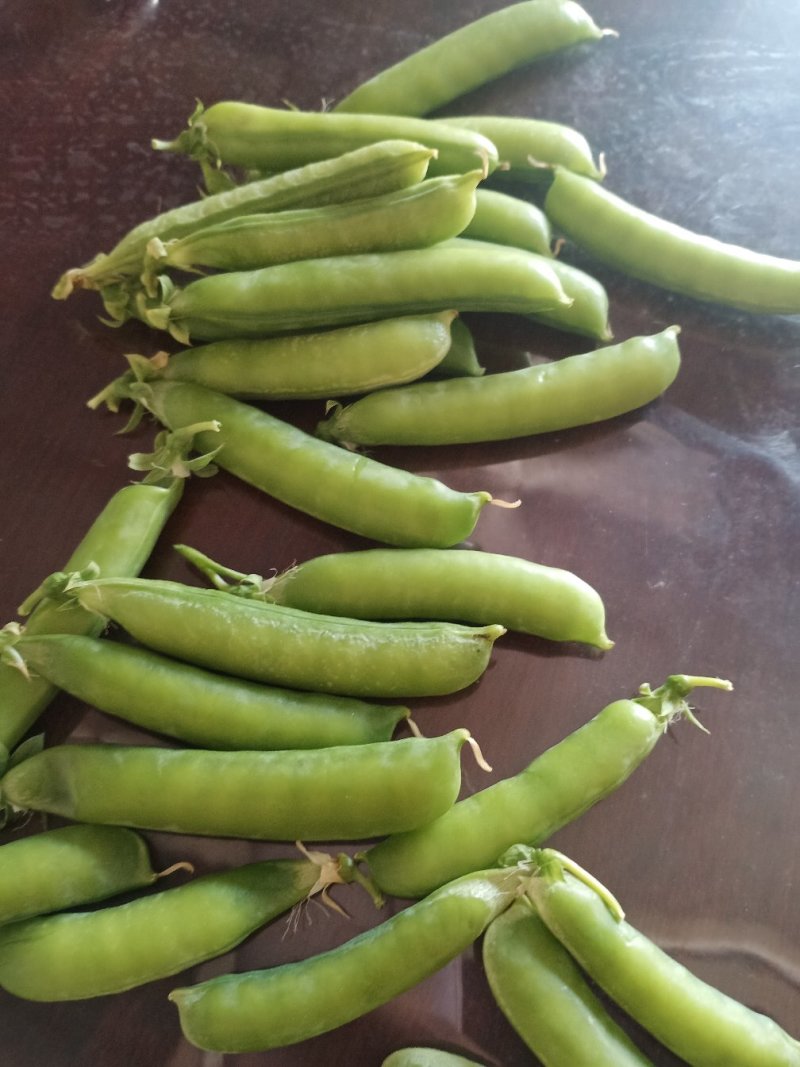 豌豆荚精品货大量供应中