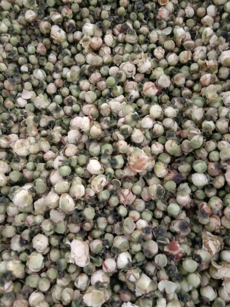 山茶花，常年批发供应药食同源，雪莲花中药材