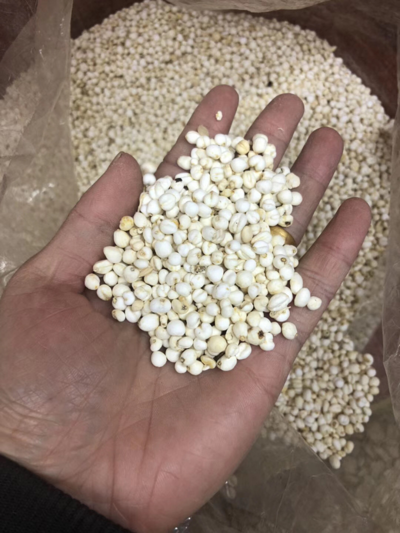 昌玉药材贝母小粒产地直销薄利多销好货