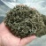 信阳毛尖，品茶时刻