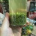 信阳毛尖，品茶时刻
