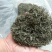 信阳毛尖，品茶时刻