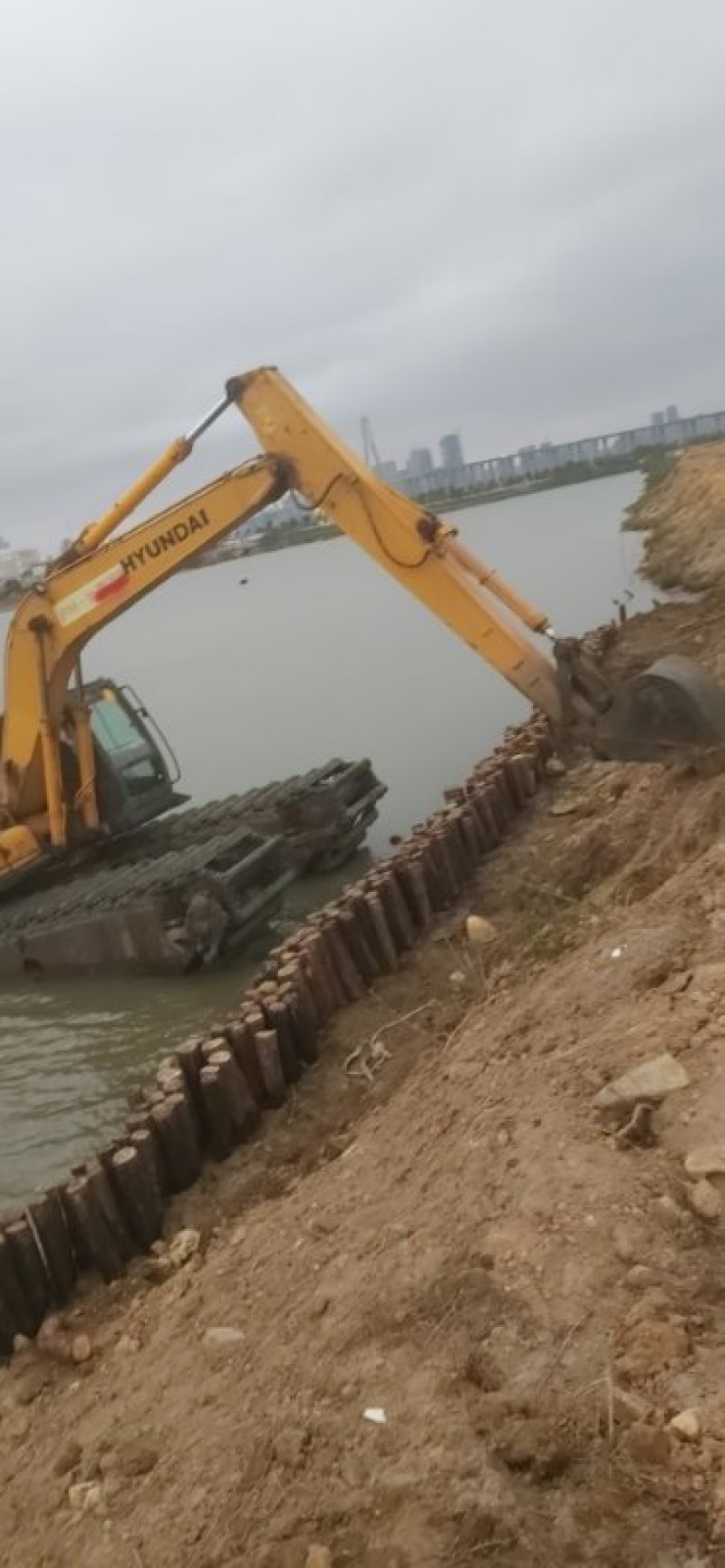 大量湿地松木桩，本地松木桩，批发欢迎新老客洽谈预定