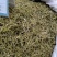 金银花！大货批发！新货上市产地直销批发价格优！