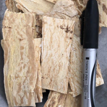 昌玉药材黄芪压片可冲泡茶产地直销