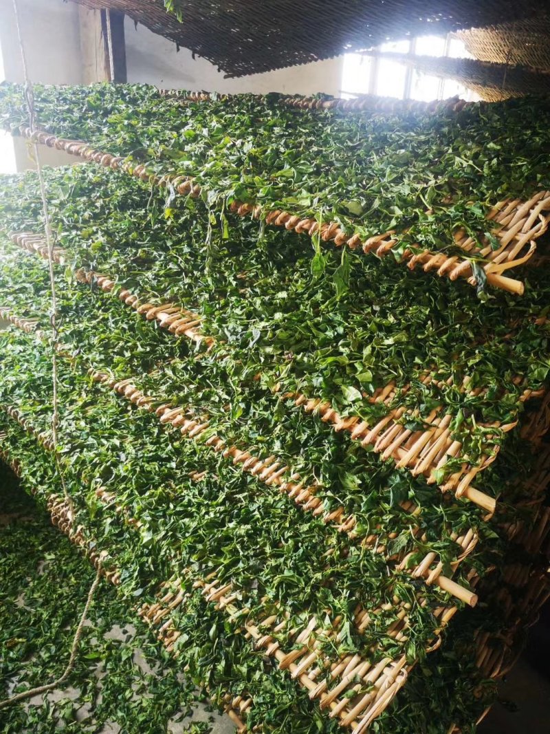 云南滇红凤庆红茶