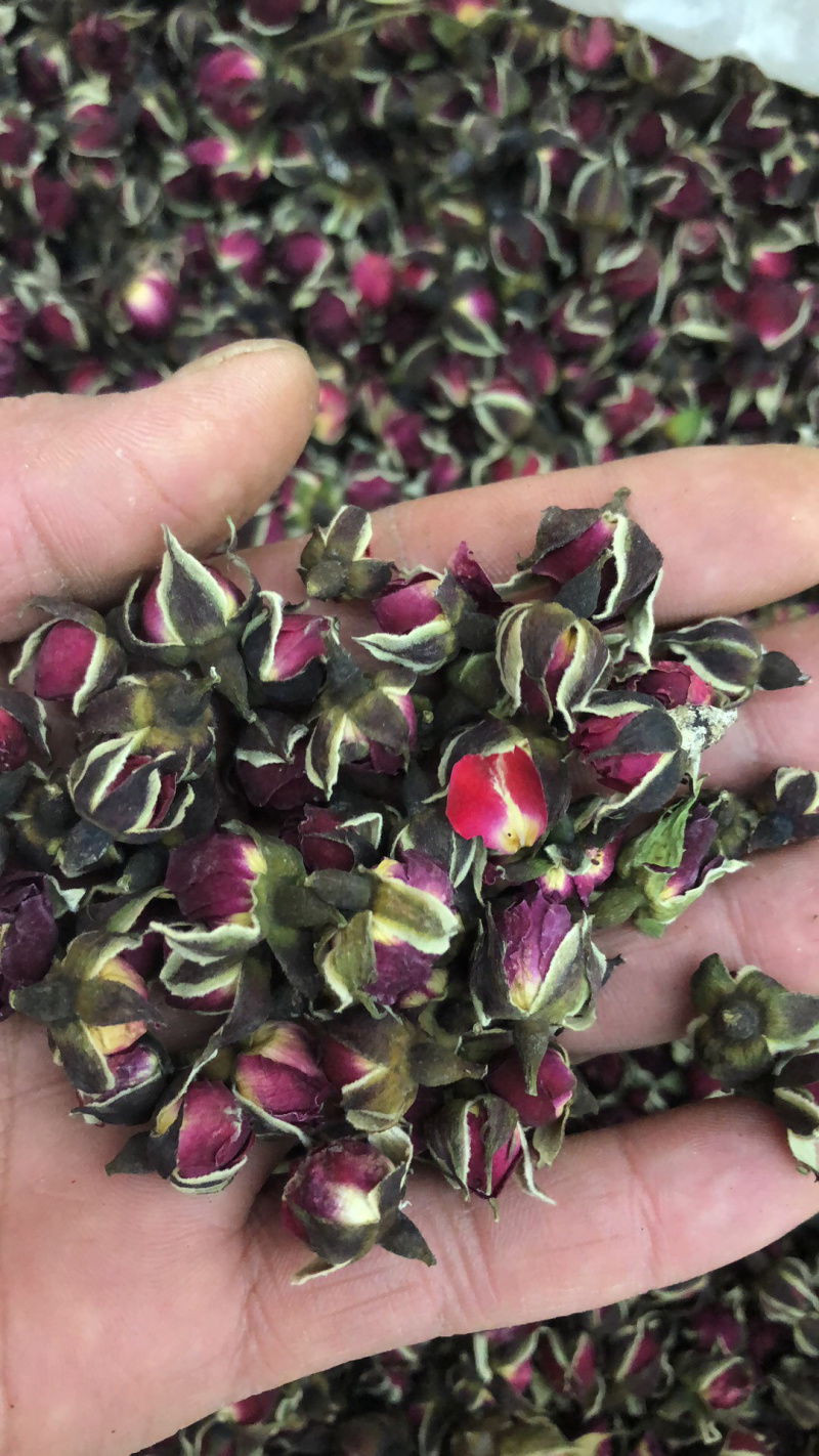 金边玫瑰花茶食用金边玫瑰产地直销支持在线交易