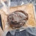 10头即食南非鲍鱼1只一袋装批发一件袋发
