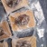 10头即食南非鲍鱼1只一袋装批发一件袋发