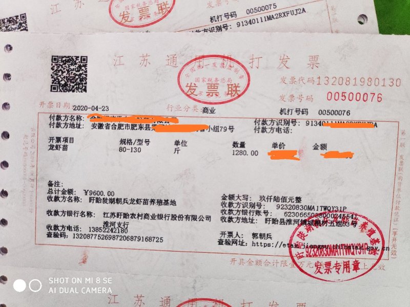 虾苗盱眙龙虾苗塘口青苗直供技术指导实地考察机打发票