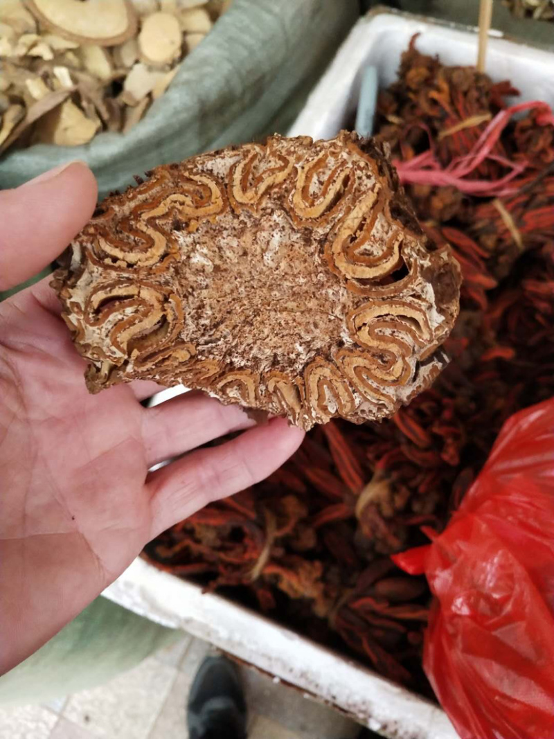 飞天擒罗